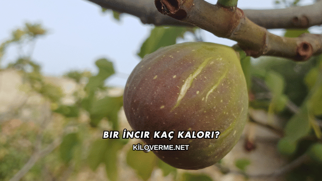Bir İncir Kaç Kalori?