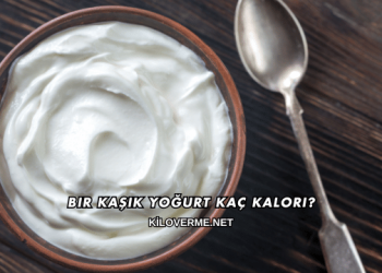 Bir Kaşık Yoğurt Kaç Kalori?