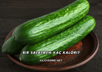 Bir Salatalık Kaç Kalori?