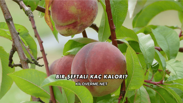 Bir Şeftali Kaç Kalori?
