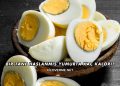 Bir Tane Haşlanmış Yumurta Kaç Kalori?