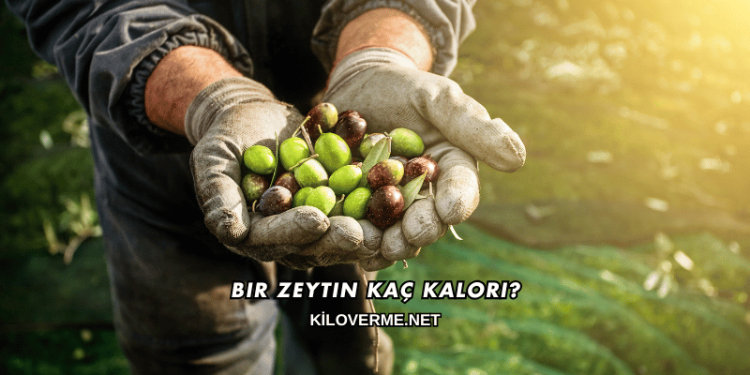 Bir Zeytin Kaç Kalori?