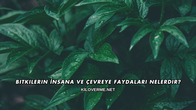 Bitkilerin İnsana ve Çevreye Faydaları Nelerdir?