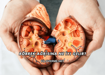 Böbrek Ağrısına Ne İyi Gelir?