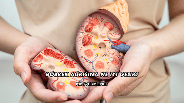 Böbrek Ağrısına Ne İyi Gelir?