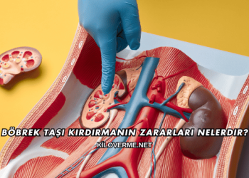 Böbrek Taşı Kırdırmanın Zararları Nelerdir?