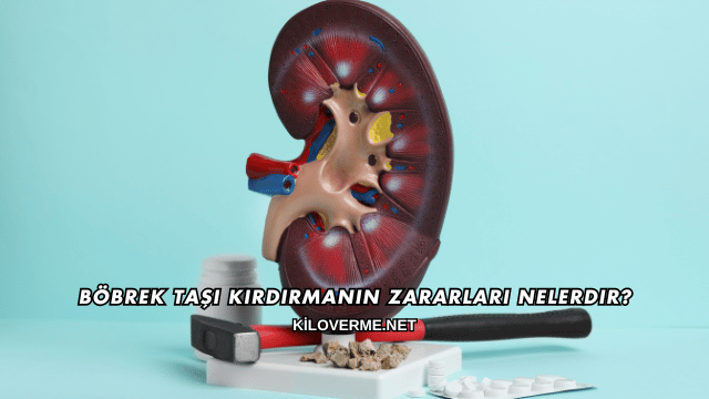Böbrek Taşı Kırdırmanın Zararları Nelerdir?