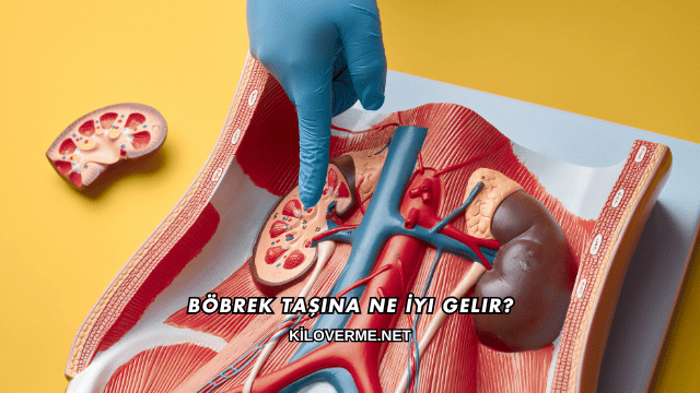 Böbrek Taşına Ne İyi Gelir?