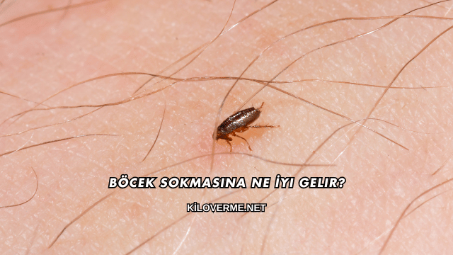 Böcek Sokmasına Ne İyi Gelir?