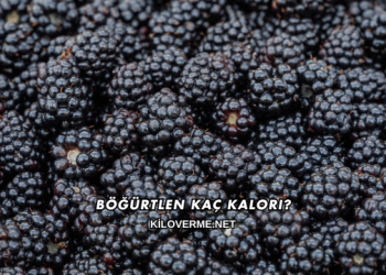 Böğürtlen Kaç Kalori?