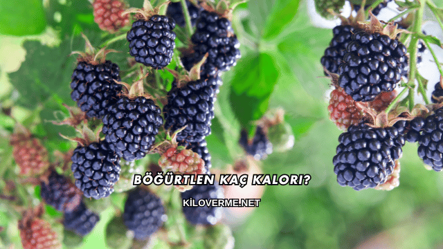 Böğürtlen Kaç Kalori?