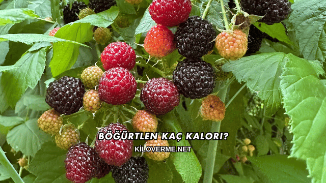 Böğürtlen Kaç Kalori?