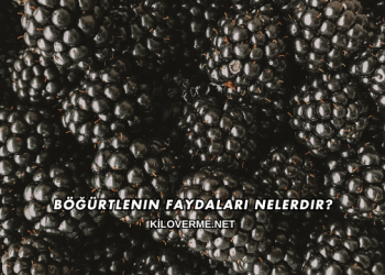 Böğürtlenin Faydaları Nelerdir?