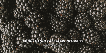 Böğürtlenin Faydaları Nelerdir?