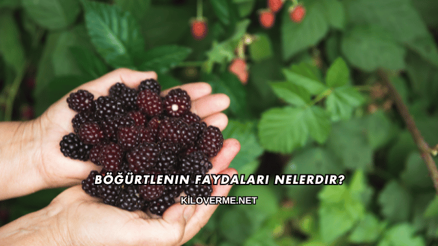 Böğürtlenin Faydaları Nelerdir?