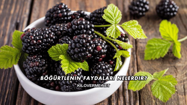 Böğürtlenin Faydaları Nelerdir?