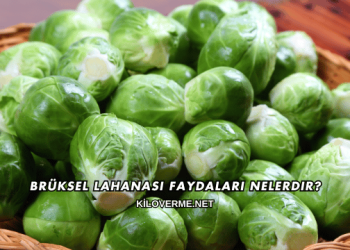 Brüksel Lahanası Faydaları Nelerdir?