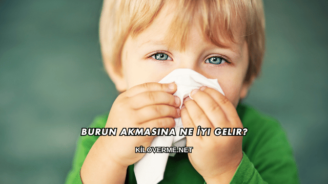 Burun Akmasına Ne İyi Gelir?