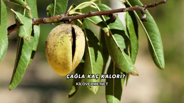 Çağla Kaç Kalori?