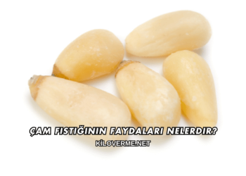 Çam Fıstığının Faydaları Nelerdir?