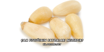 Çam Fıstığının Faydaları Nelerdir?