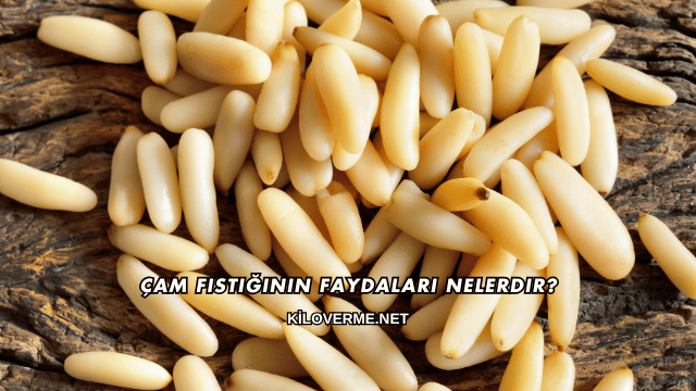 Çam Fıstığının Faydaları Nelerdir?