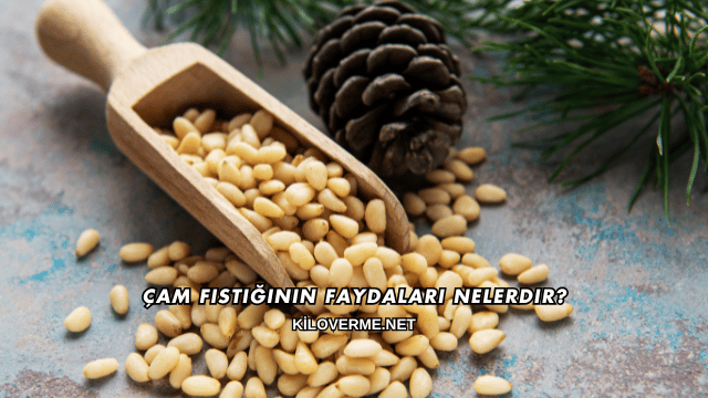 Çam Fıstığının Faydaları Nelerdir?