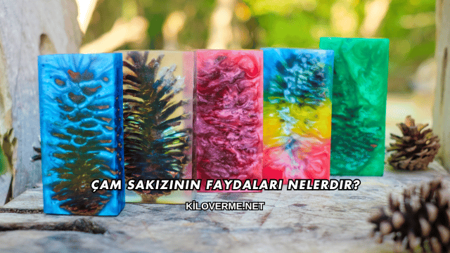Çam Sakızının Faydaları Nelerdir?