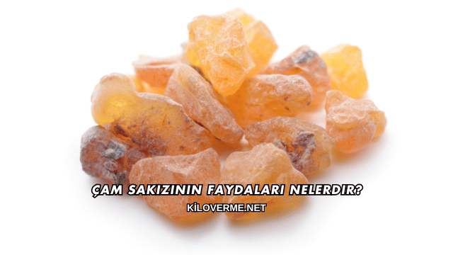 Çam Sakızının Faydaları Nelerdir?