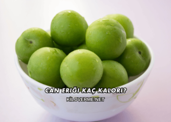 Can Eriği Kaç Kalori?