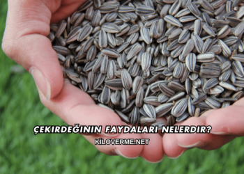 Çekirdeğinin Faydaları Nelerdir?