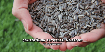 Çekirdeğinin Faydaları Nelerdir?