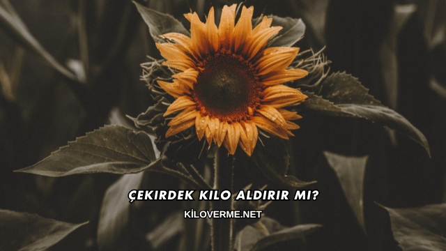 Çekirdek Kilo Aldırır mı?