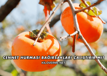 Cennet Hurması Bağırsakları Çalıştırır mı?