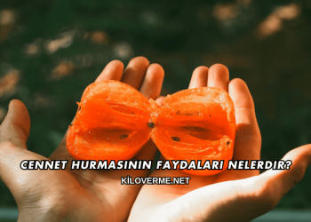 Cennet Hurmasının Faydaları Nelerdir?