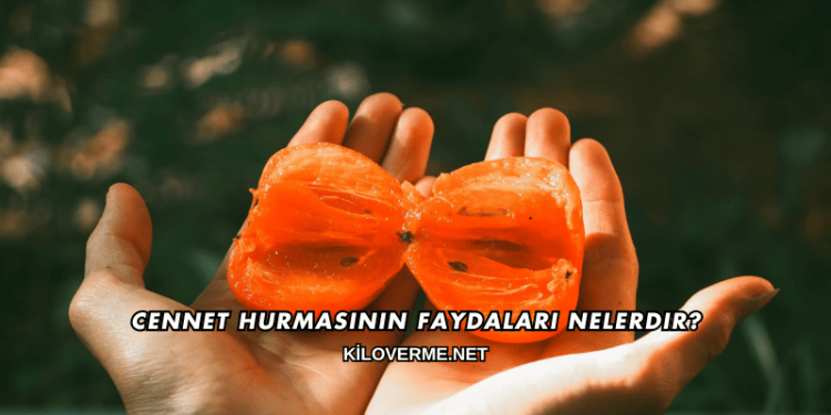 Cennet Hurmasının Faydaları Nelerdir?