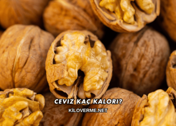 Ceviz Kaç Kalori?