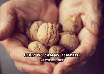 Ceviz Ne Zaman Yenmeli?