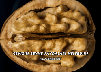 Cevizin Beyne Faydaları Nelerdir?
