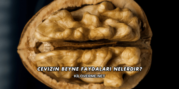 Cevizin Beyne Faydaları Nelerdir?