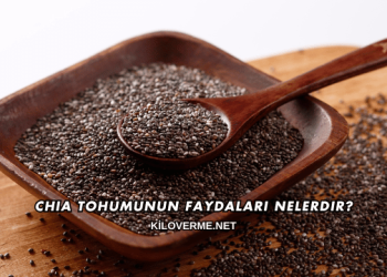 Chia Tohumunun Faydaları Nelerdir?