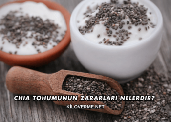 Chia Tohumunun Zararları Nelerdir?