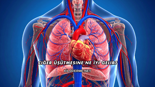 Ciğer Üşütmesine Ne İyi Gelir?