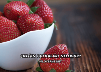 Çileğin Faydaları Nelerdir?