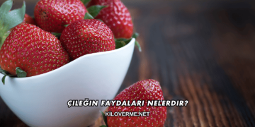 Çileğin Faydaları Nelerdir?