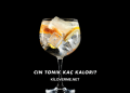 Cin Tonik Kaç Kalori?