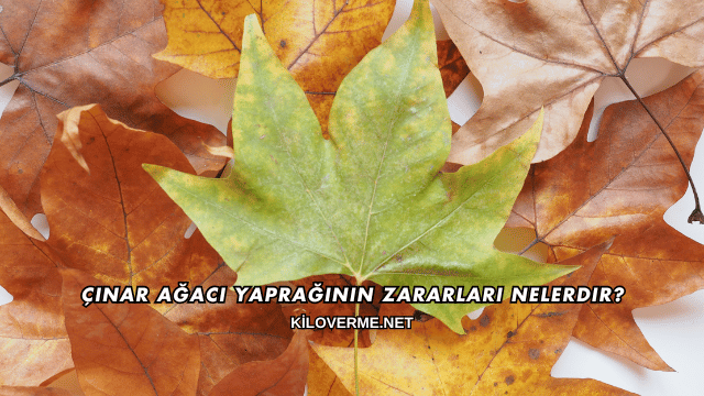 Çınar Ağacı Yaprağının Zararları Nelerdir?