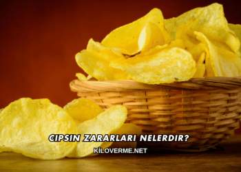 Cipsin Zararları Nelerdir?