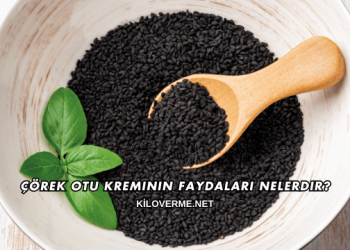 Çörek Otu Kreminin Faydaları Nelerdir?