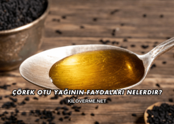 Çörek Otu Yağının Faydaları Nelerdir?